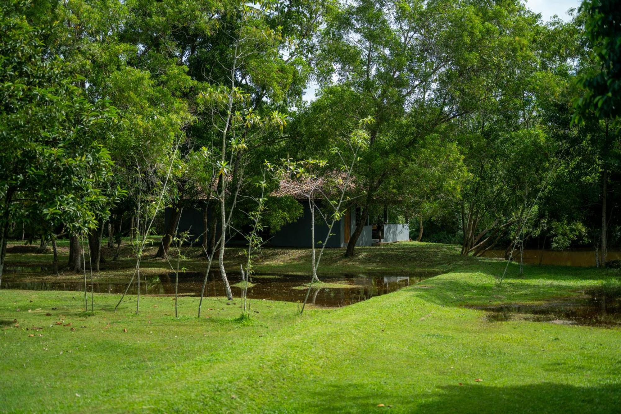 Wirdana Resort & Spa Bussa Buitenkant foto