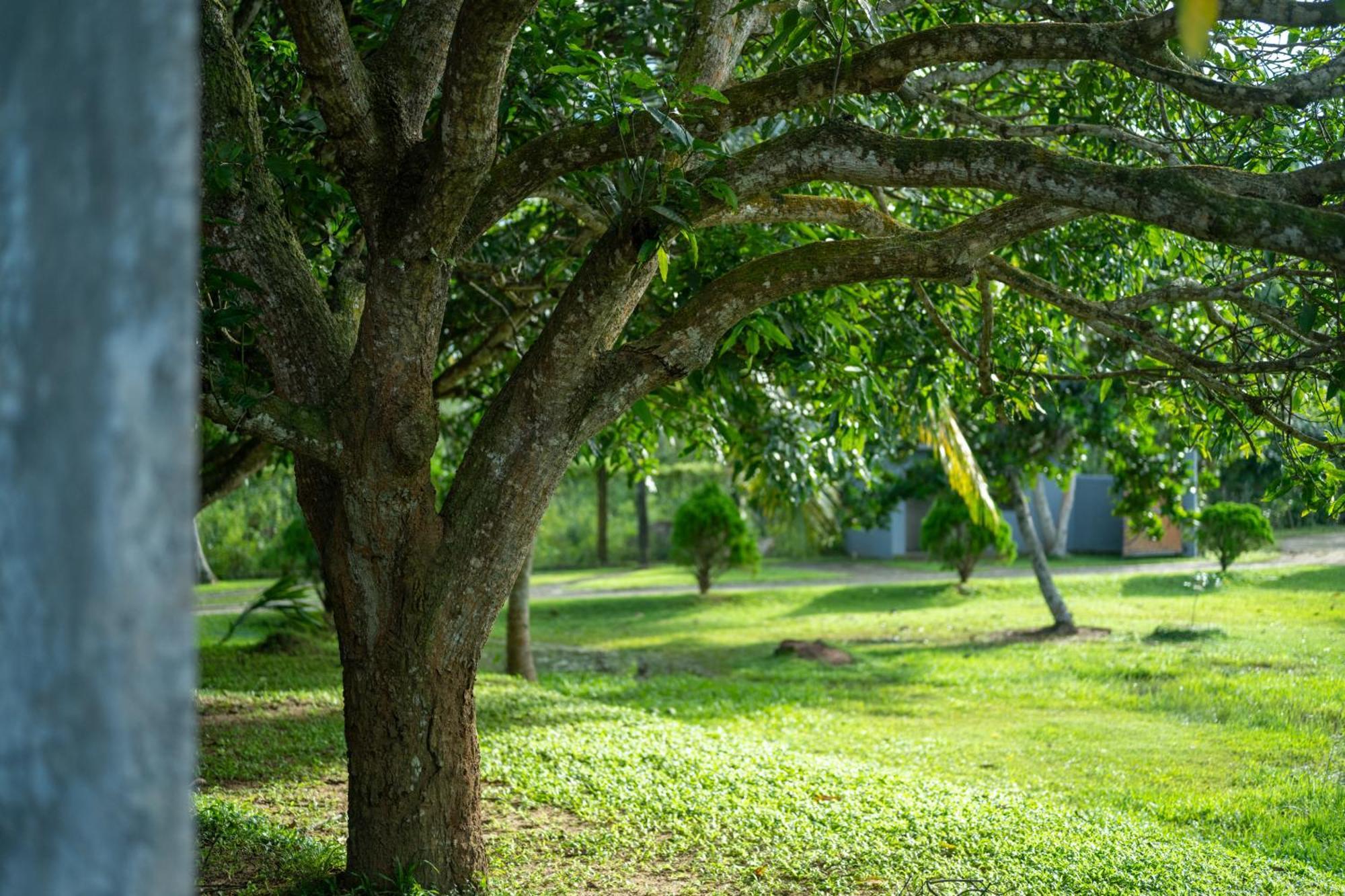 Wirdana Resort & Spa Bussa Buitenkant foto